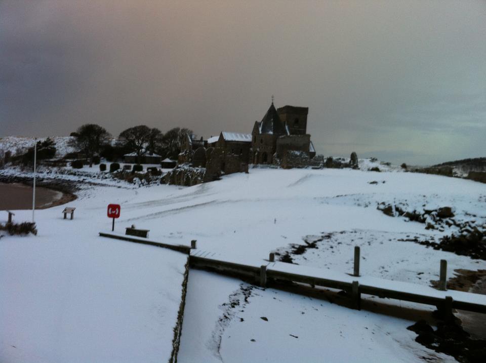 Snowy Inchcolm