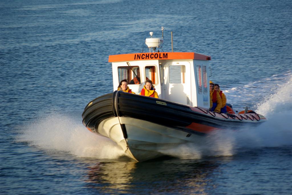 Rib Inchcolm